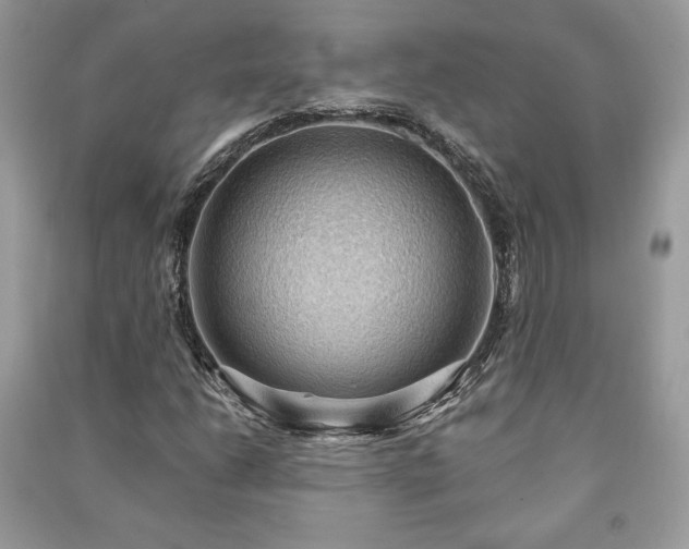 X0000090981206200708091450