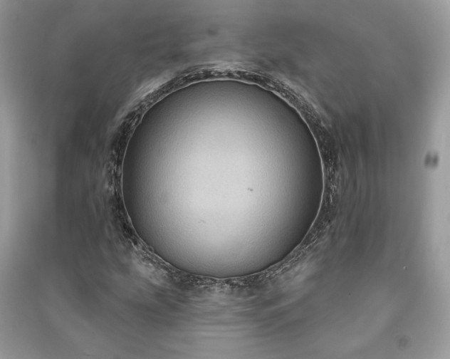 X0000090981207200708091450