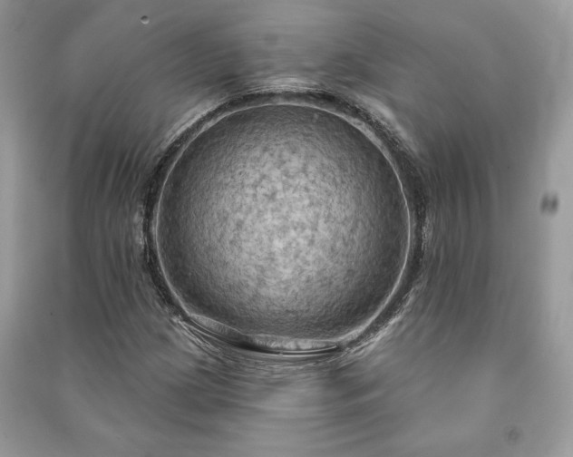 X0000090981209200708091451