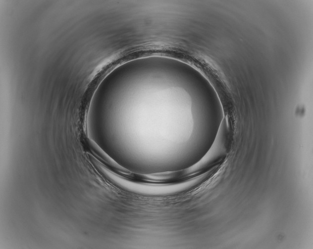 X0000090981210200708091451