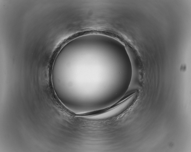 X0000090981214200708091451