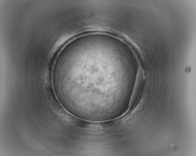X0000090981215200708091451