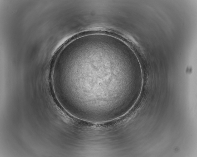 X0000090981216200708091451