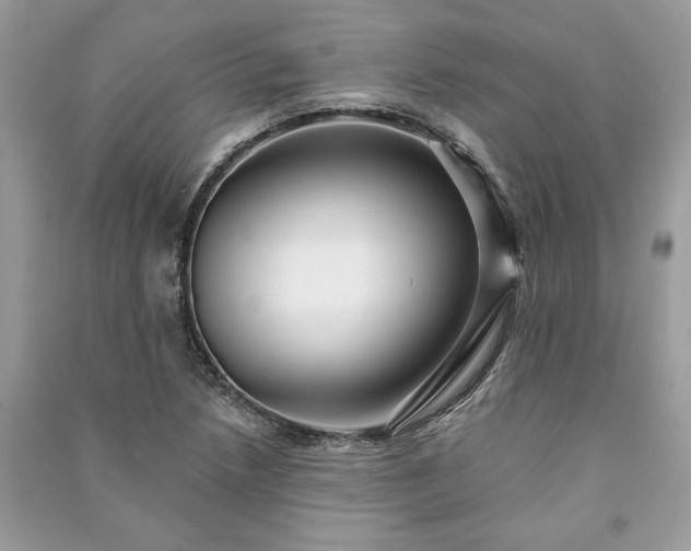 X0000090981218200708091451