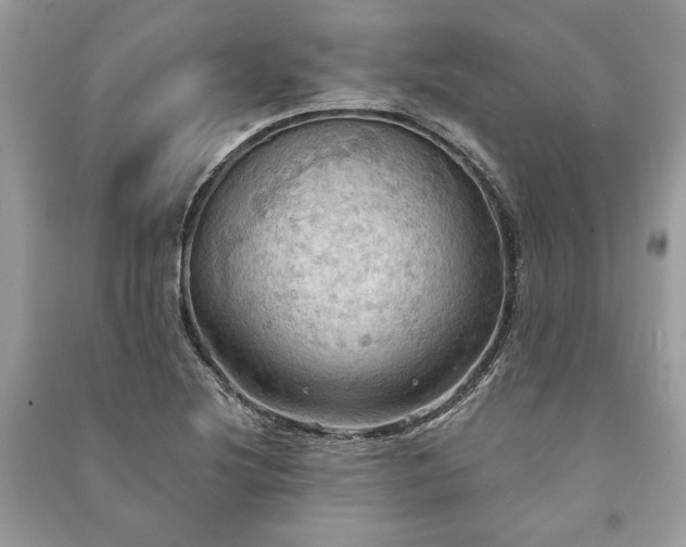 X0000090981220200708091451
