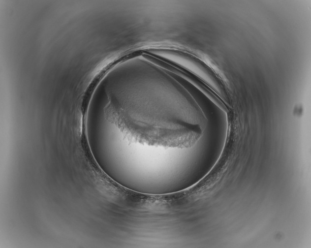 X0000090981221200708091451