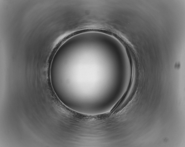X0000090981222200708091451