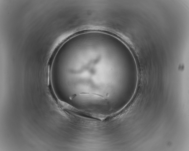 X0000090981223200708091451