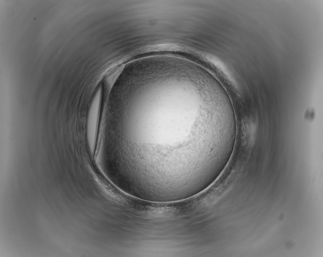 X0000090981225200708091451