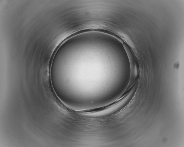 X0000090981226200708091451