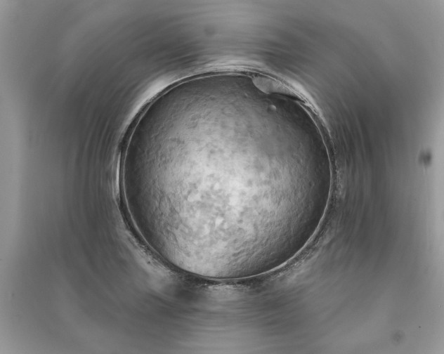 X0000090981227200708091451