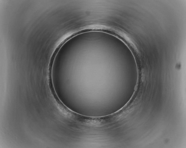 X0000090981229200708091451