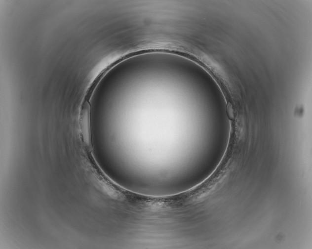 X0000090981230200708091451