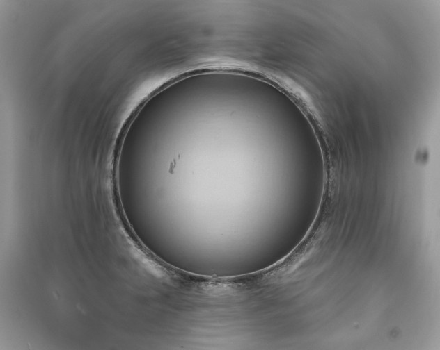 X0000090981231200708091451
