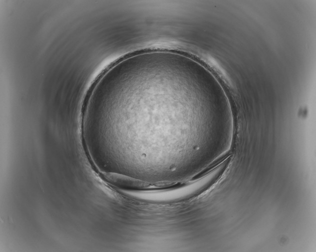 X0000090981232200708091451
