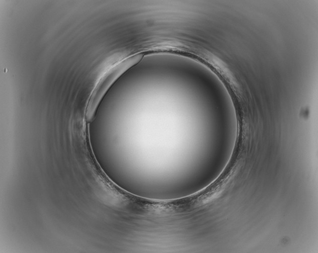 X0000090981234200708091451