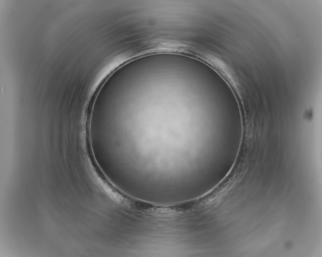 X0000090981235200708091451