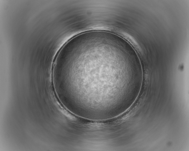 X0000090981236200708091451