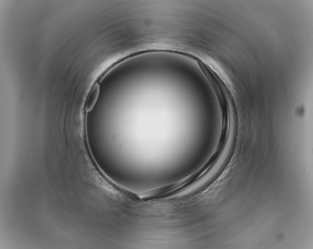 X0000090981238200708091451
