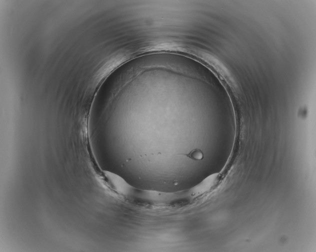 X0000090981241200708091451