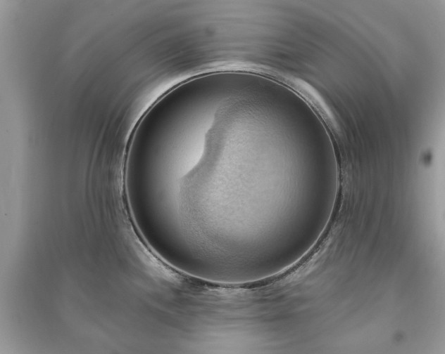 X0000090981244200708091451