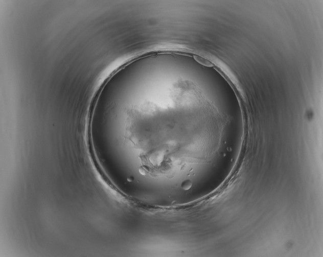 X0000090981245200708091451