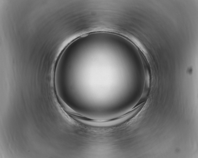 X0000090981246200708091451