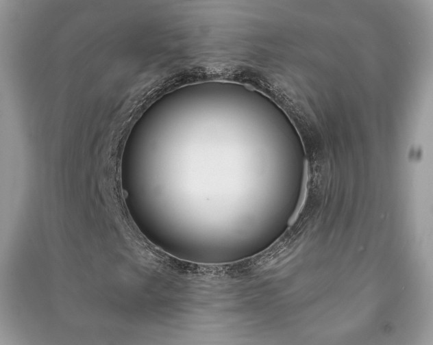 X0000090981249200708091450