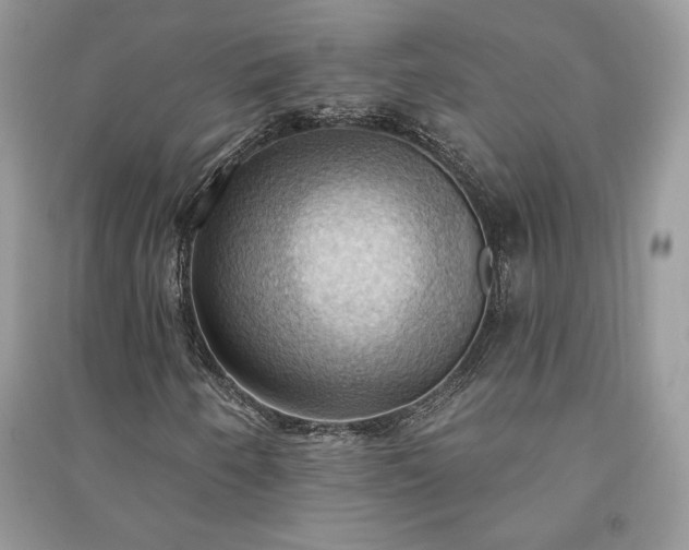 X0000090981250200708091450