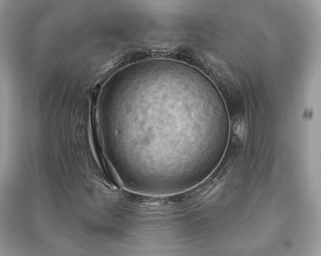 X0000090981252200708091450