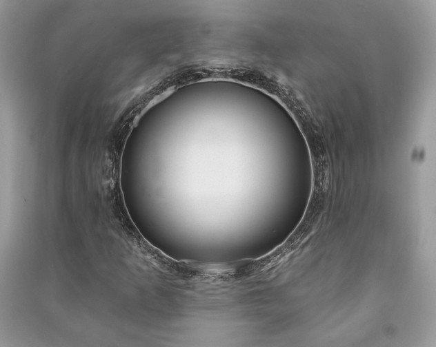 X0000090981253200708091450