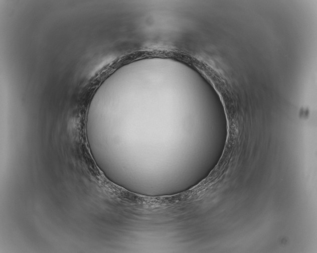 X0000090981254200708091450