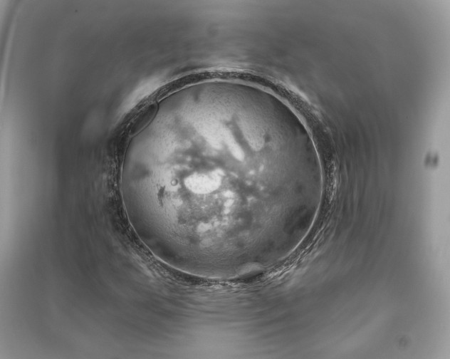 X0000090981255200708091450