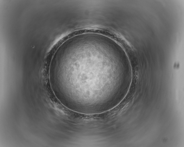X0000090981256200708091450