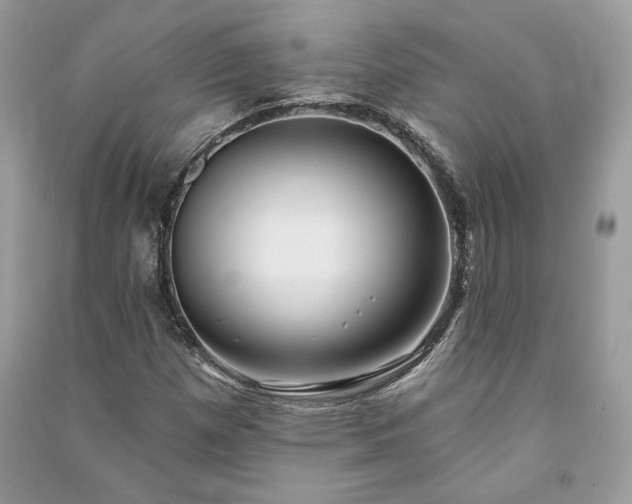 X0000090981257200708091450