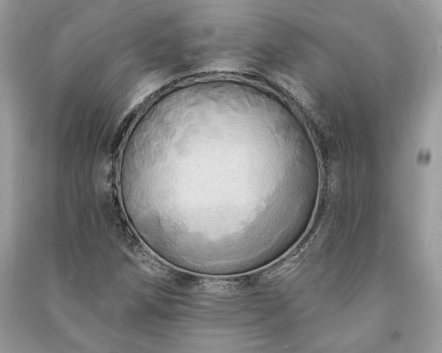 X0000090981258200708091450