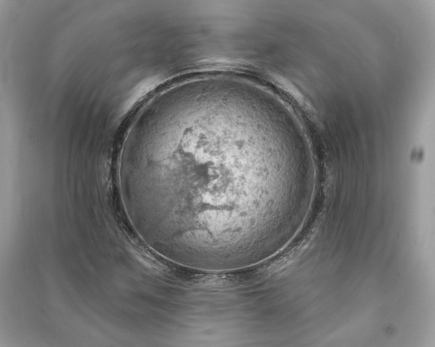 X0000090981259200708091450