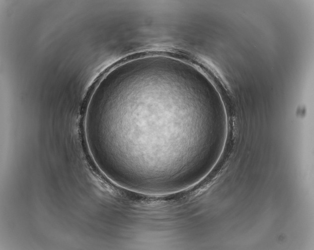 X0000090981260200708091450