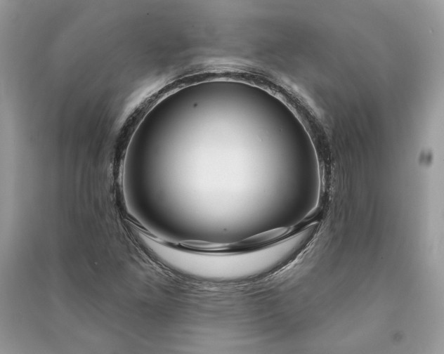 X0000090981261200708091450