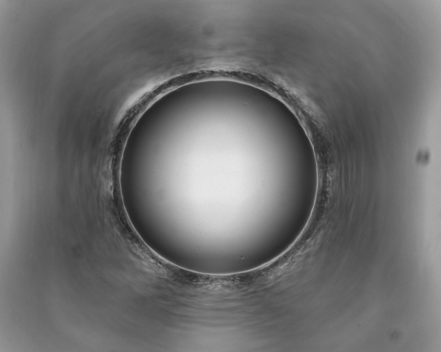 X0000090981262200708091450