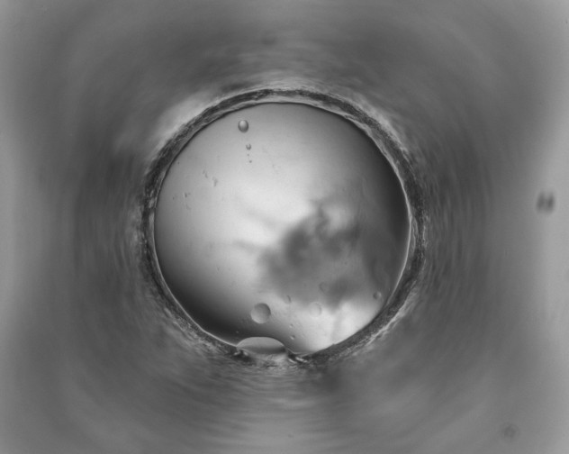 X0000090981263200708091450