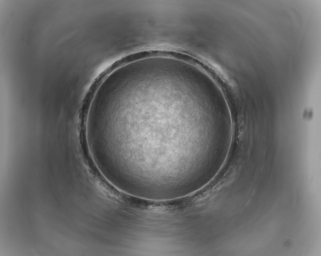 X0000090981264200708091450