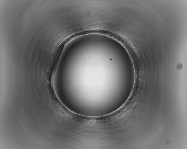 X0000090981265200708091450