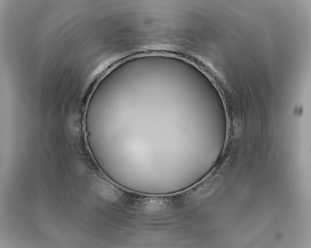 X0000090981266200708091450