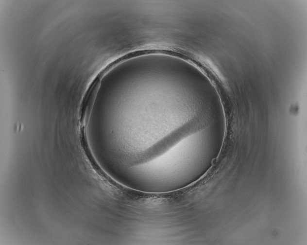X0000090981268200708091450