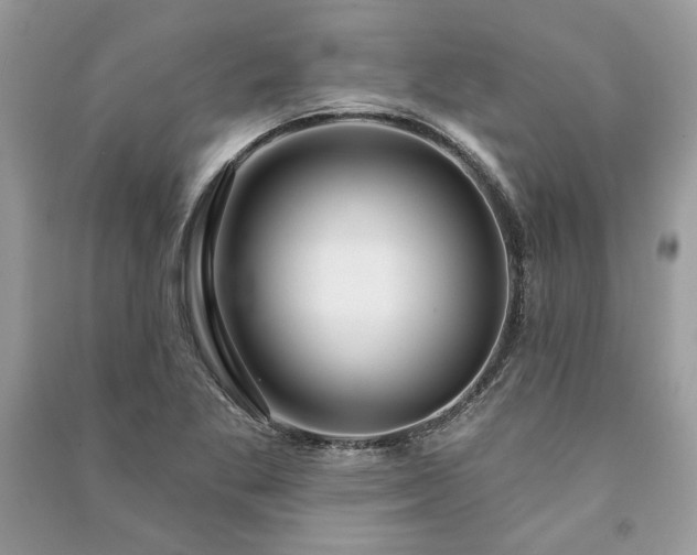 X0000090981269200708091450