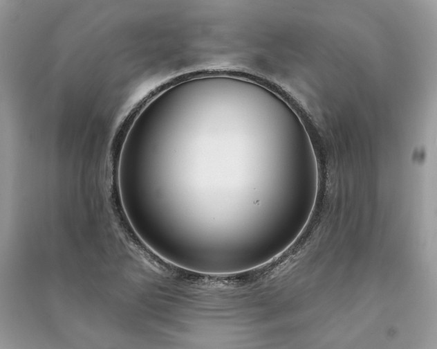 X0000090981270200708091450