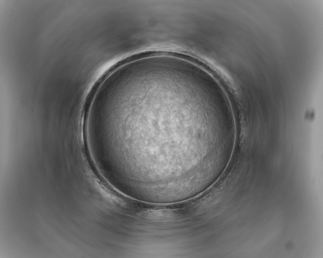 X0000090981272200708091450