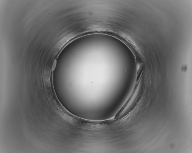 X0000090981273200708091450