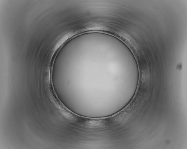 X0000090981274200708091450